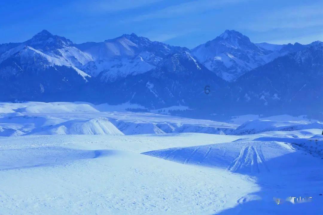 沪江开心词场